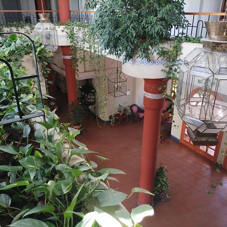 Appartamento Estudio Reina Y Pastora El Rocío Esterno foto